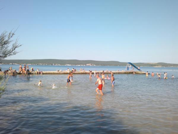 Apartmani Marija Pašman Quarto foto