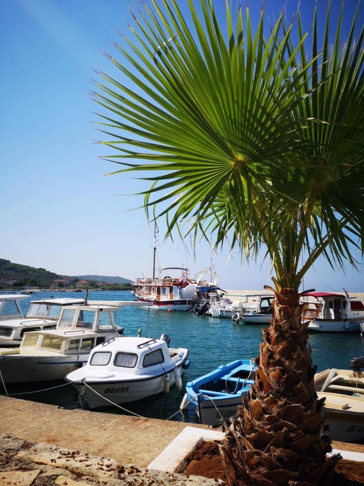 Apartmani Marija Pašman Quarto foto